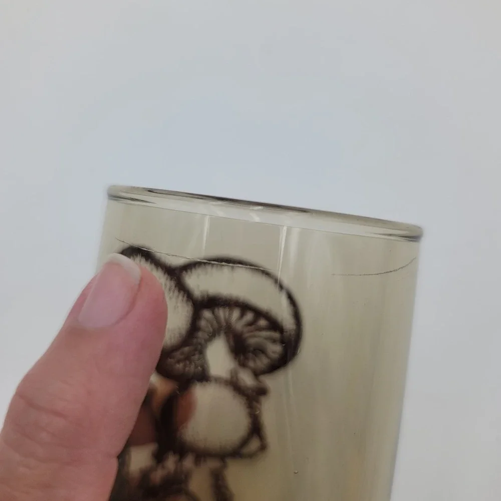 Vintage Smoke Glass Mushroom Tumbler Brown Fungi Retro Highball 5.5 Inch